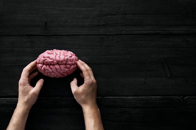 AI, Human hands touching brain